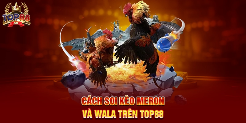 Cách Soi Kèo Meron Và Wala Trên Top88
