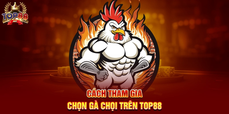 Cách Tham Gia Chọn Gà Chọi Trên Top88
