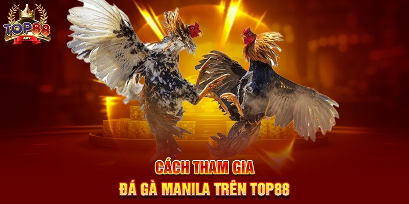 Cách Tham Gia Đá Gà Manila Trên Top88