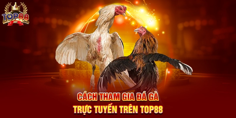 Cách Tham Gia Đá Gà Trực Tuyến Trên Top88