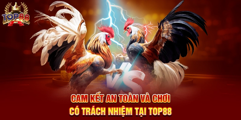 Cam Kết An Toàn Và Chơi Có Trách Nhiệm Tại Top88