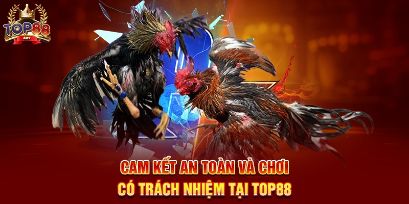 Cam Kết An Toàn Và Chơi Có Trách Nhiệm Tại Top88
