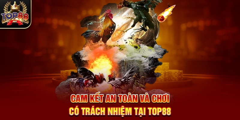 Cam Kết An Toàn Và Chơi Có Trách Nhiệm Tại Top88