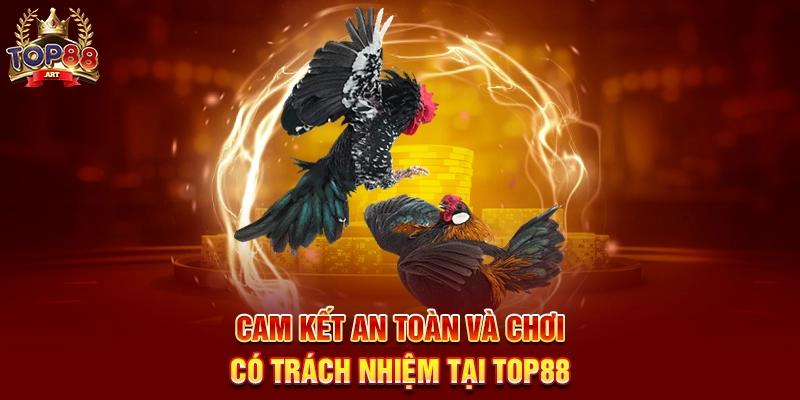 Cam Kết An Toàn Và Chơi Có Trách Nhiệm Tại Top88
