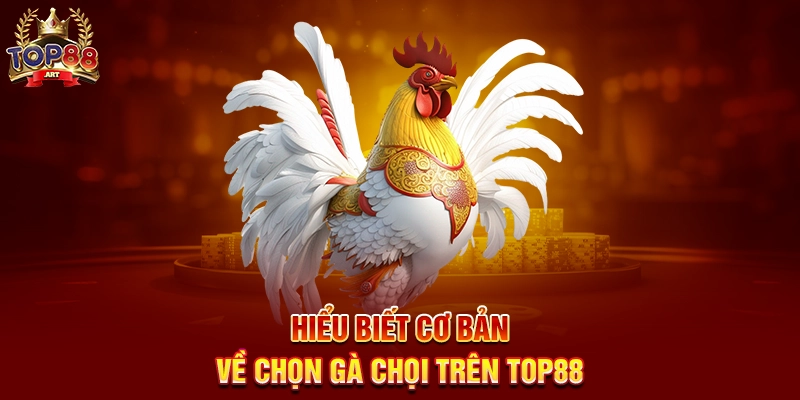 Hiểu Biết Cơ Bản Về Chọn Gà Chọi Trên Top88