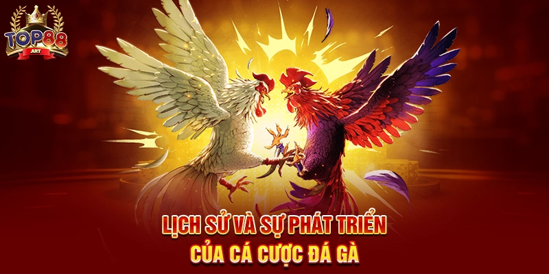 Lịch Sử Và Sự Phát Triển Của Cá Cược Đá Gà